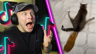 Ces ANIMAUX ont PERDU LA TÊTE ! (TikTok essaye de ne pas rire version extrême)