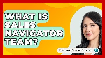 What Is Sales Navigator Team? - BusinessGuide360.com