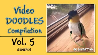 Funny Video Doodles Compilation S01E05