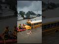 The Hurricane Hero 🐕🌪️ | Brave Dog Saves Lives During a Deadly Storm