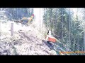 Southstar FD750 Directional Felling Head on a Tethered Timberpro TL765 Steep Slopes