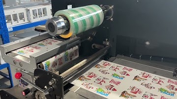 Full-function Flatbed Label Die Cutting Machine VR320X