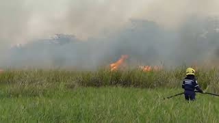 INCENDIO FORESTAL