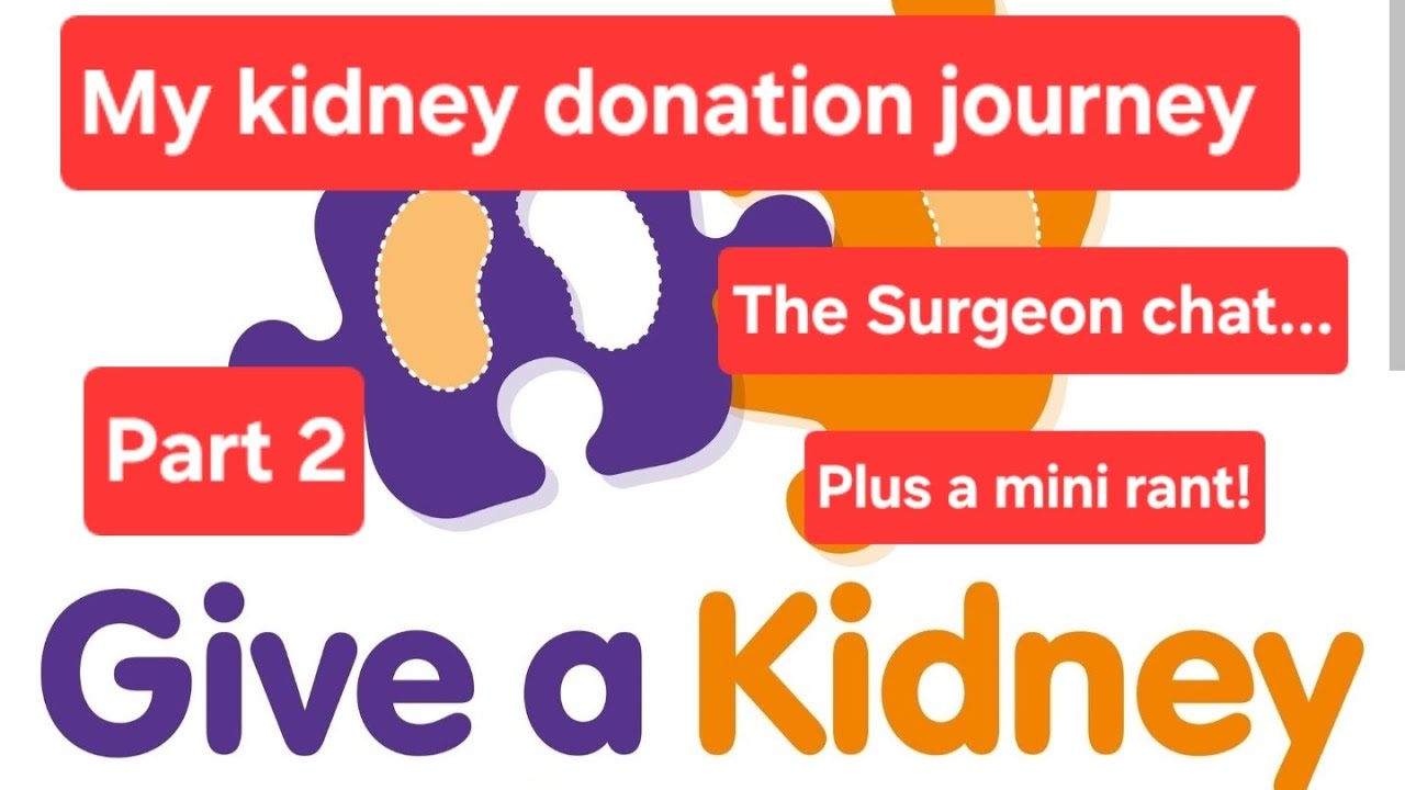 Часть 2 моего пути к донорству. Примут ли меня в качестве донора почки? И немного жалоб...