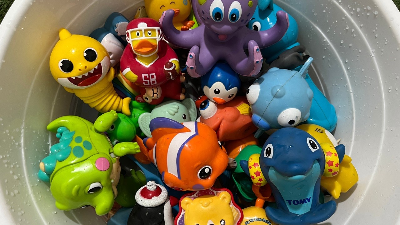 Ocean Life for Kids: Sea Animal Names, Fun Facts & Preschool Educational Toys for Toddlers