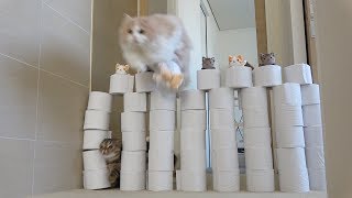 A BIG LUMP AND A TANK CAT FLYING THE SKY (ENG SUB)