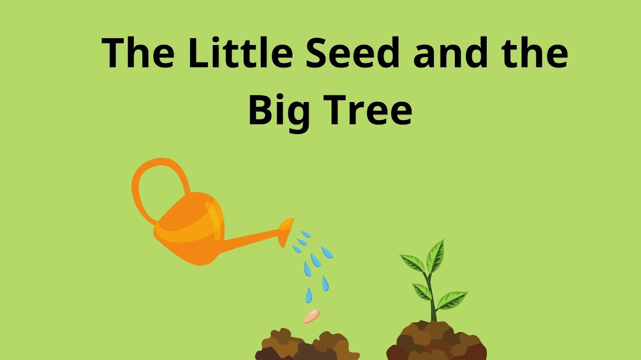 The Little Seed and the Big Tree | Moral Stories | English stories ...