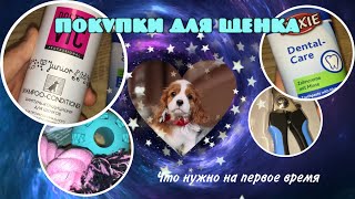 Покупки для ЩЕНКА🐶Что нужно купить на первое время