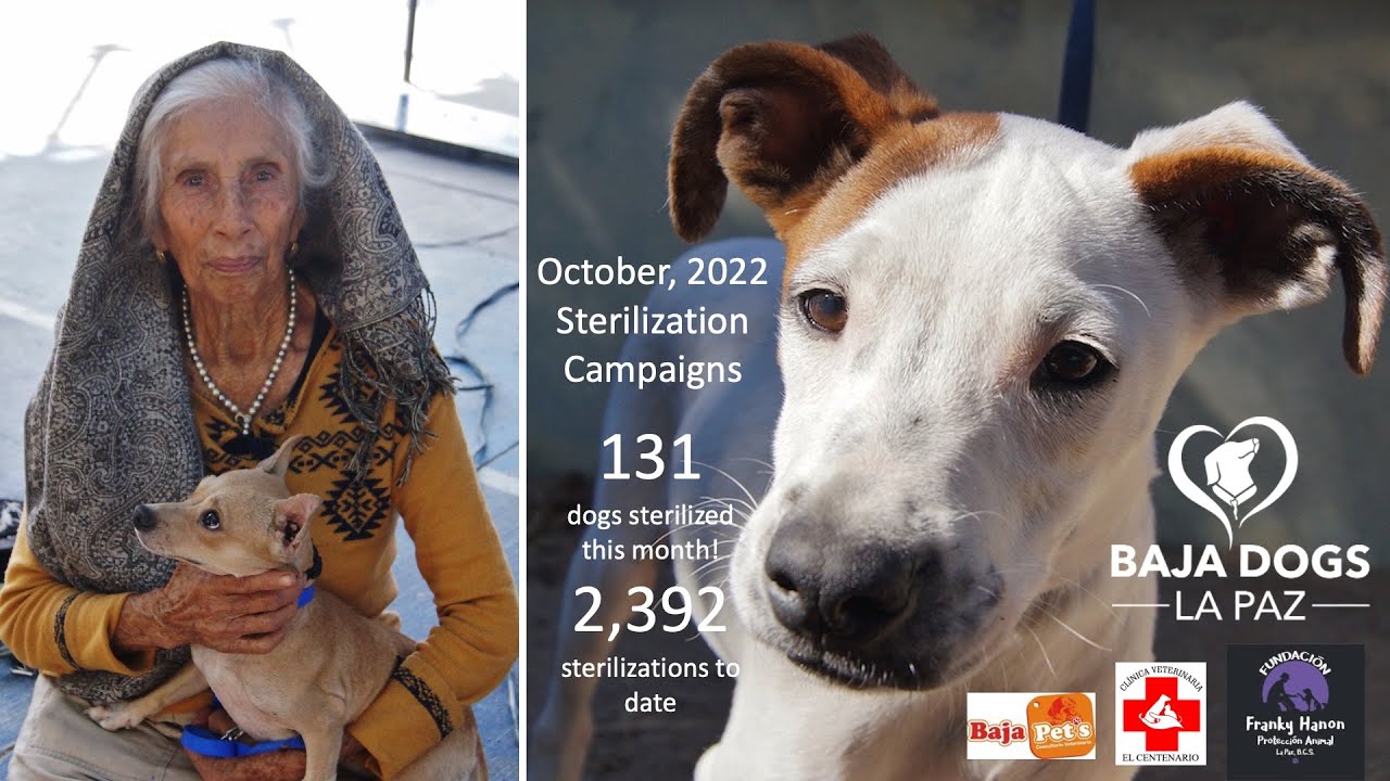 2,392 La Paz Area Pets Sterilized to Date