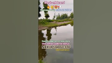 magicnft  update | real or scam | review | not won issue #onlinework #magicnft #treasurenft #update