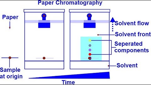 Paper Chromatography and its principle