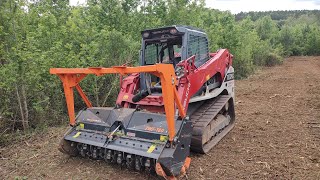 mulching property lines through very thick brush