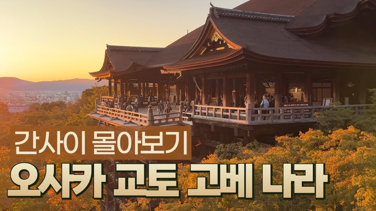 🍁일본 간사이 여행 몰아보기 (오사카 교토 고베 나라 와카야마) 가을 여행지 추천!