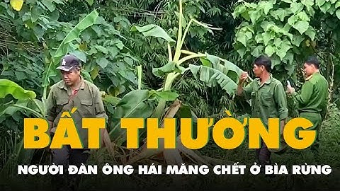 Điều tra vụ người đàn ông hái măng chết ở bìa rừng, bên cạnh có dấu chân voi