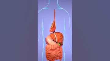 How Liver Transplant Works? (3D Animation) #shorts