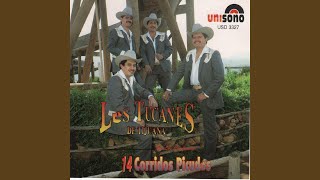 El Narco