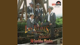 Watch Los Tucanes De Tijuana El Narco video