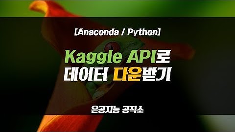 [Anaconda/Python] Kaggle API로 데이터 다운받기