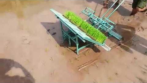 Máy cấy lúa kéo tay Đại Nghĩa trình diễn phục vũ bà con các tỉnh thành