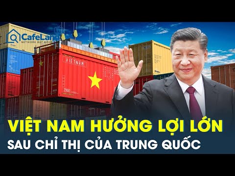 Trung Quốc vừa cấm xuất khẩu, một mặt hàng lập tức tăng giá gấp 3 lần, Việt Nam hưởng lợi lớn