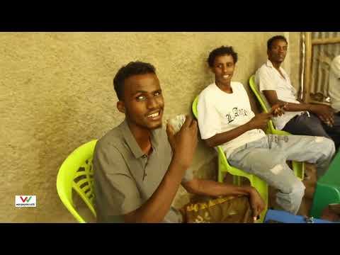 Bulshada Waynta Ku Dhaqan Marmaarsa Aya Baaq Udirey Xukumada Degaanka Soomalida