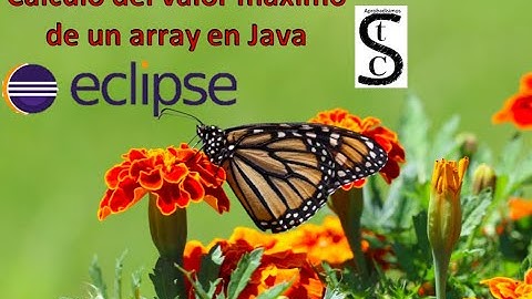 📈Calculo del valor maximo de un array en Java📈