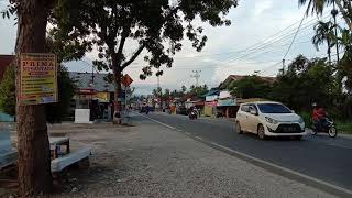 ada rindu untukmu...pance...fani vabiola byAnton cs