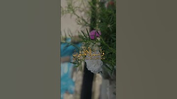 قرآن كريم صوت جميل #اللهم_صل_وسلم_على_نبينا_محمد