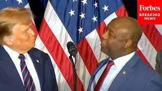 Trump Tells Tim Scott 'You Must Really Hate' Nikki Haley After NH Primary Win-Then Scott Responds