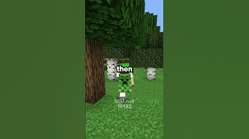 DO NOT CLICK THE SOUND😭🙏  #minecraft #smp #litsl