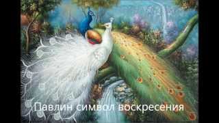 Павлин - символ воскресения