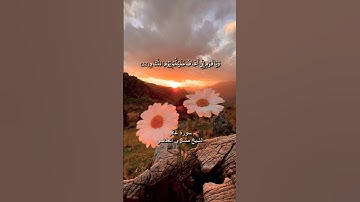 ويا قوم أني أخاف عليكم يوم التناد / سورة غافر / الشيخ مشاري العفاسي