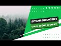 Vad gör Storskogen? En snabb överblick av deras aktie och verksamhet
