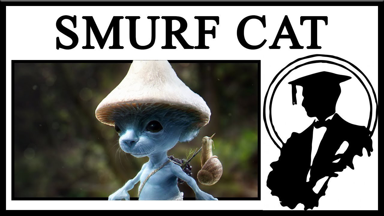 The Start of Smurfs: Where does Smurfing Come From? - GoCollect