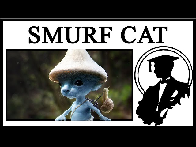 Smurf Cat 