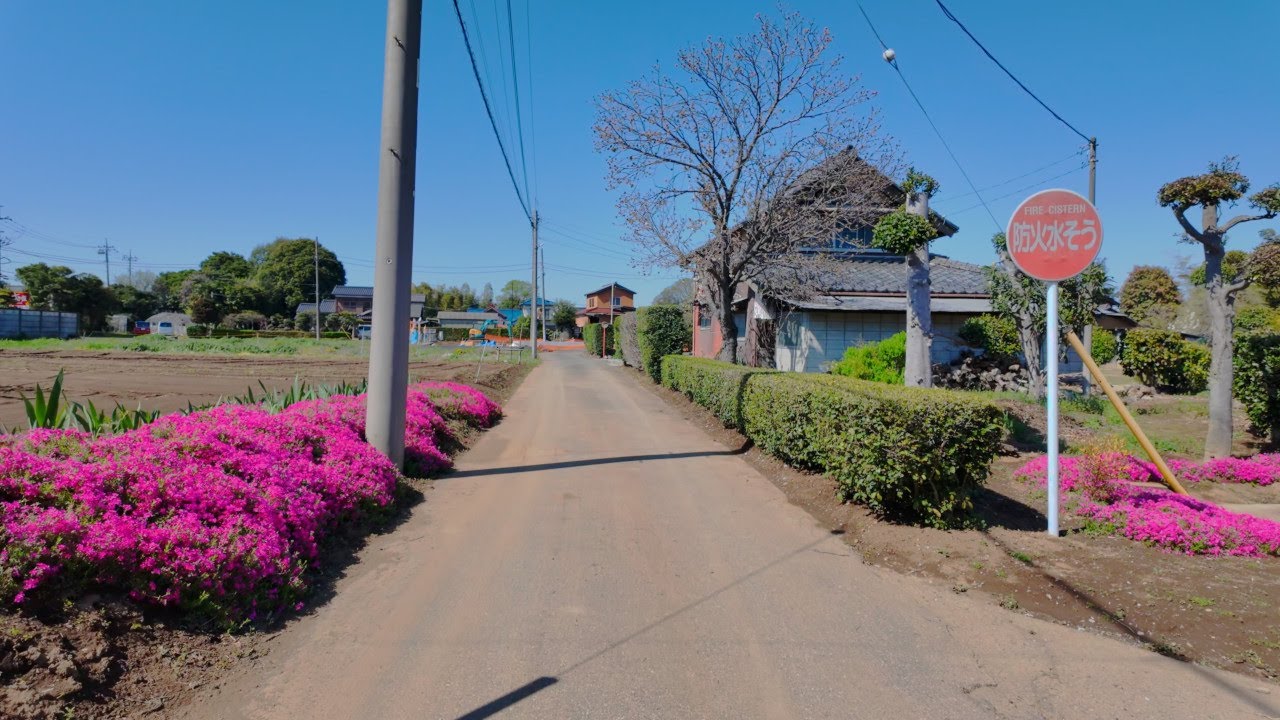 Walk around Nagareyama Interchange | Suburbs Tokyo 4K/60fps HDR