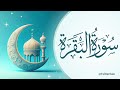 سورة البقرة تلاوة ذهبية قراءة شيخ مقرئ قرآن القارئ سورة البقرة تلاوة ذهبية قراءة شيخ مقرئ قرآن القارئ