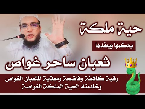 رقية كاشفة وفاضحة ومعذبة ل ثعبان ساحر غواص وخادمته حية ملكة غواصة الراقي المغربي نعيم