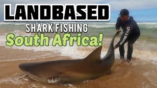 Shark fishing from the beach! Land based fishing in South Africa! Casting baits for big sharks!
