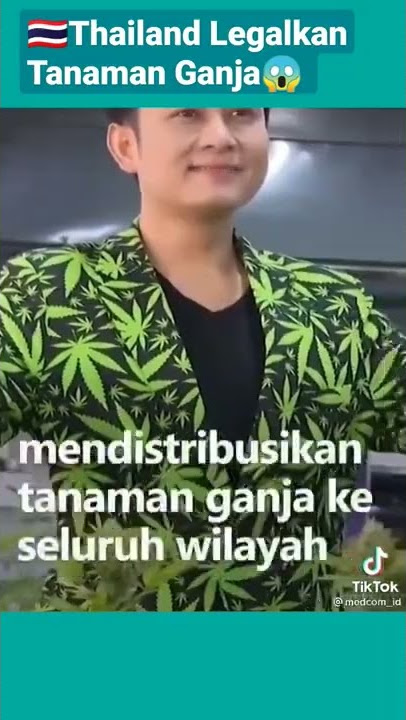 Hanya Di Thailand Legalkan Warga Boleh Menanam dan Mengonsumsi Ganja #shorts #thailand #ganja