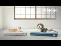 ibiyaya翼比-寵物彈力蒟蒻床 XL product youtube thumbnail