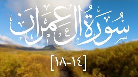 سورة آل عمران | ايات ١٤-١٨ | القارئ الشيخ ياسر بن راشد الدوسري