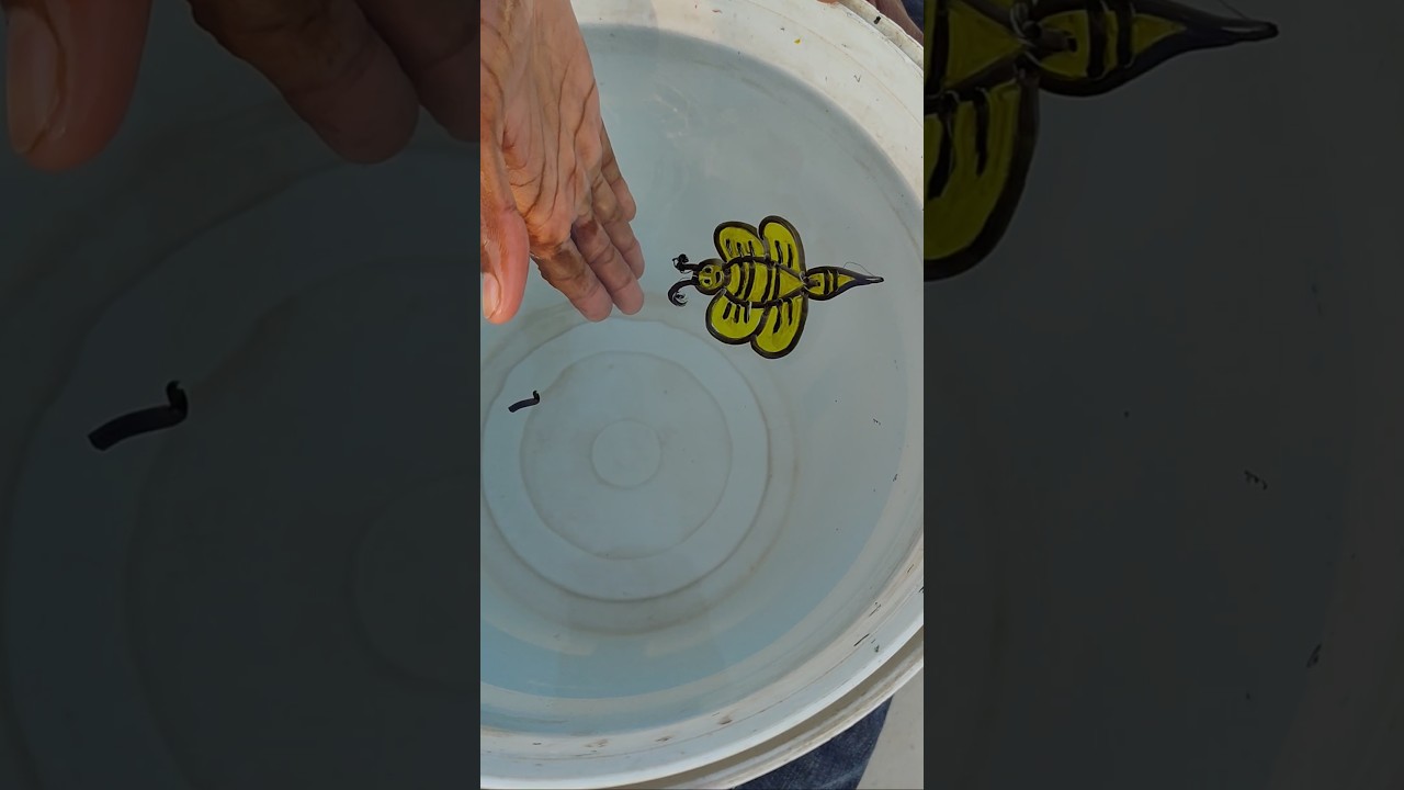 Interesting 🤔 Butterfly Drawing 😁 | Make On Hand I 