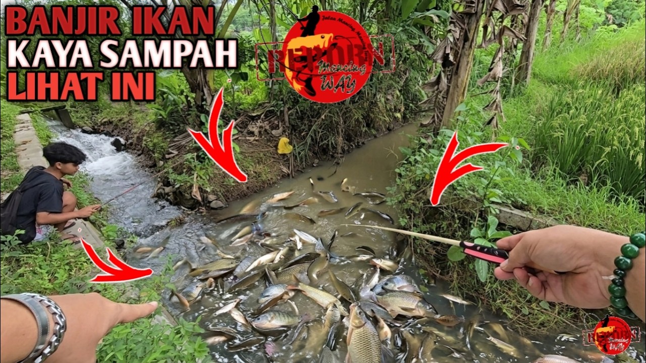 ASTAGA...!!! Ini Namanya Banjir Ikan Auto Panen Ikan Terget Plung Nyut Gacor Dor