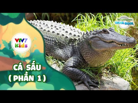Thế giới kỳ diệu | CÁ SẤU | VTV7