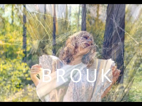 Ta Hakuna - Brouk (Official Music Video)