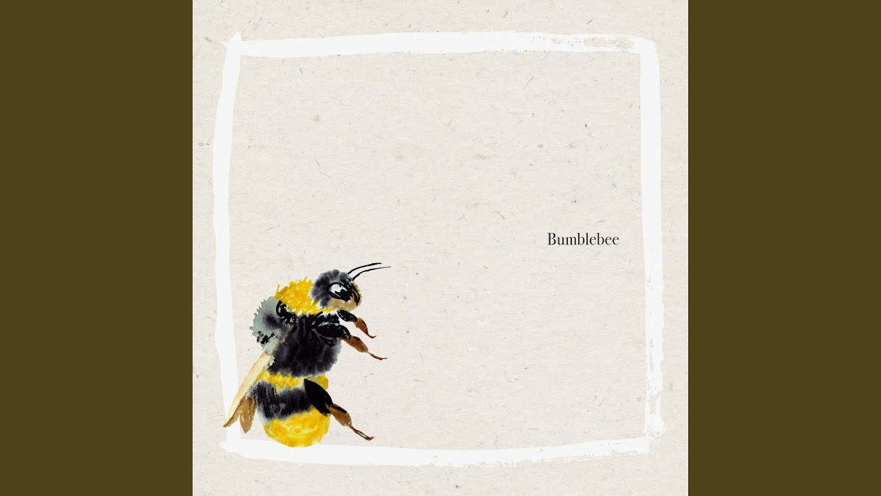 Let's Go To The Beach - YouTube