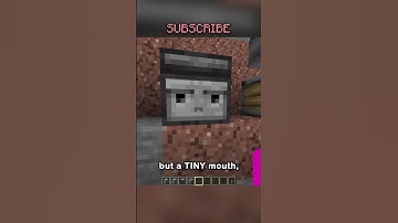 i am a redstone expert.