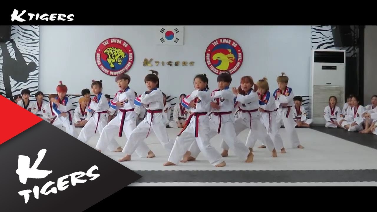 [Sorry Sorry & 어느날 머리에서 뿔이 자랐다] Taekwon Dance ver.