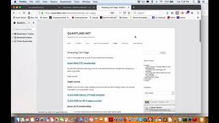 Celebrity Oanda API forex workshop now posted Net Worth